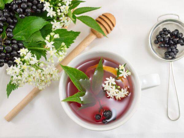 7 właściwości zdrowotnych herbaty z czarnego bzu